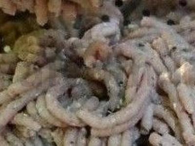 Namų žuvies faršas pagrindine nuotrauka