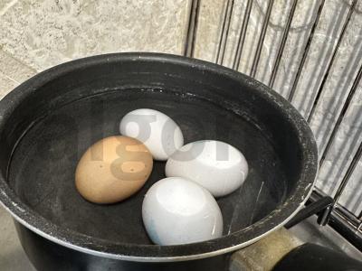 Korejinių morkų ir rūkytos vištienos salotas Žingsnis 1