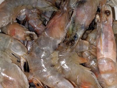 Virti karališki krevetės Žingsnis 1