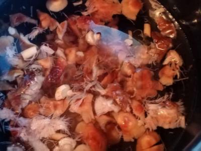 Kopūstų ir voveraičių pyragas Žingsnis 1