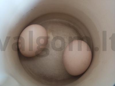 Salotas su rūkytomis vištienos krūtinėlėmis, kiaušiniu, agurku ir kefyro padažu Žingsnis 1