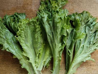 Lengvas graikiškas salotas Žingsnis 5