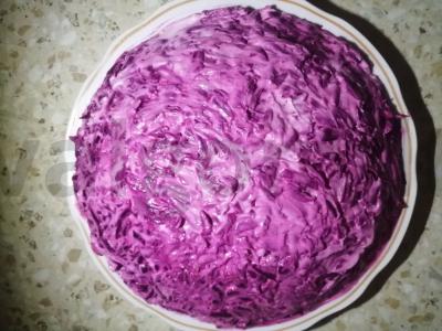 Silkė po kailiu kasdienai pagrindine nuotrauka