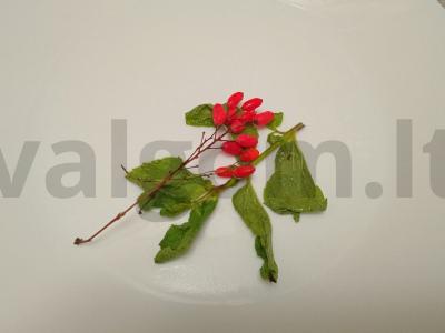 Vitamininis arbata su mėtomis, sumachu, barbaru, laimu ir medumi Žingsnis 1