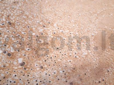 Kepiniai blynai, įdaryti kiaušiniu su žaliu svogūnu Žingsnis 5