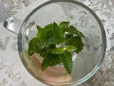 Gėrimas „Švelni mėta“ su citrinos melisa ir rabarbaru Žingsnis 1