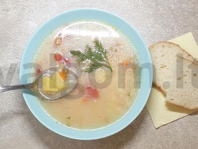 Daržovių sriuba su varškės sūriu pagrindine nuotrauka