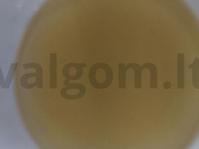 Skani sausainių receptas su agurkų marinuotais sultiniais Žingsnis 2