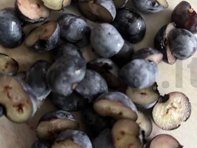 Varškės kokteilis su graikiniais riešutais Žingsnis 2