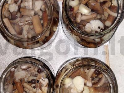 Marinuoti pievagrybiai žiemai Žingsnis 3