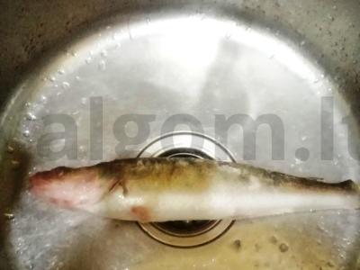 Lydekos filė ant grotelių Žingsnis 1