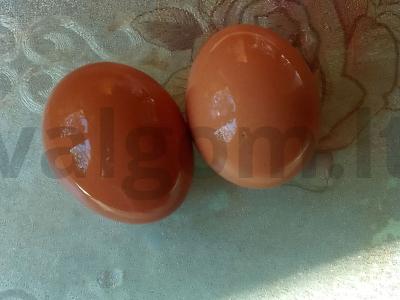 Salotas su kukurūzais, kiaušiniu ir sūriu Žingsnis 1