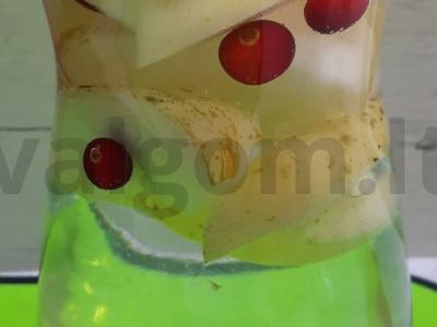 Antaninių obuolių kompotas su spanguolėmis Žingsnis 6