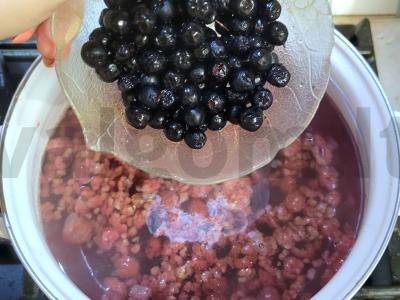 Naudingas šermukšnių ir aviečių kompotas su obuoliu Žingsnis 1