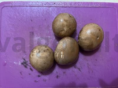 Kepintos grybai grietinėlės padaže Žingsnis 1