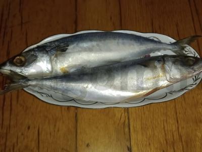 Skumbrė-babytė ant anglių Žingsnis 1