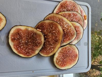 Čiabatta su straciatella ir figomis Žingsnis 3