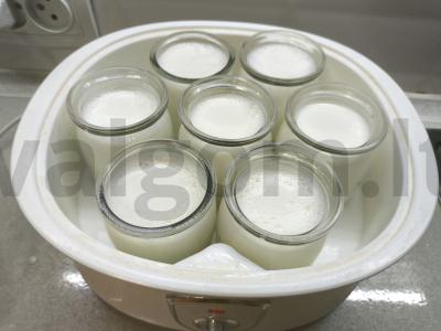 Vanilinis jogurtas su acidofilinu Žingsnis 4