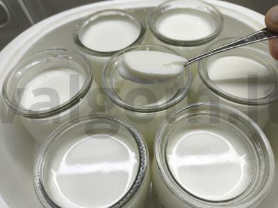 Vanilinis jogurtas su acidofilinu pagrindine nuotrauka