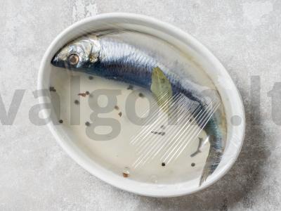 Namų sūdyta silkė Žingsnis 6