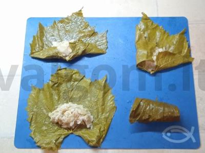 Marinuotų vynuogių lapų dolma Žingsnis 9