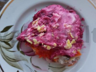 Salotas „Silkė po šubą“ su žaliu obuoliu pagrindine nuotrauka