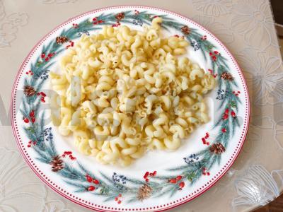 Vištienos stroganovas su grietine iš išlydytų grietinėlės Žingsnis 14