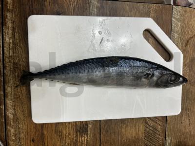 Skumbrė, kepta su citrina ir krapais folijoje Žingsnis 1