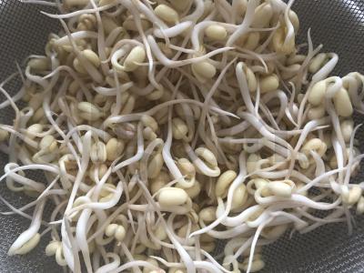 Daigų salotos su krevetėmis Žingsnis 2