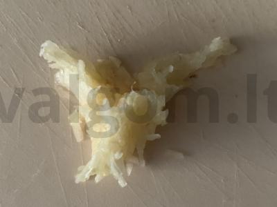 Užkandžių sumuštiniai su dešrelėmis ir lydytu sūriu Žingsnis 4