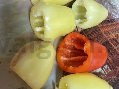 Įdaryti pipirai pagal močiutės receptą Žingsnis 4