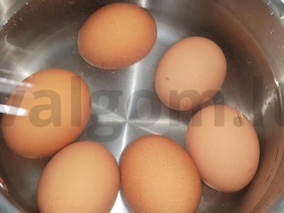 Salotas „Gribų pievelė“ Žingsnis 3