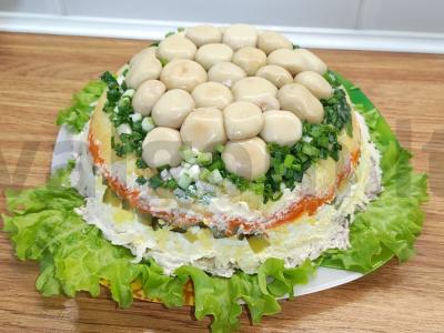 Salotas „Gribų pievelė“ pagrindine nuotrauka