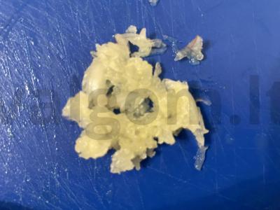 Salotas „Švelnumas“ su pusiau rūkytomis dešromis ir šviežiu agurku Žingsnis 4