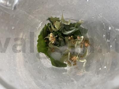 Autorinis žolelių arbata „Pegasas“ Žingsnis 4