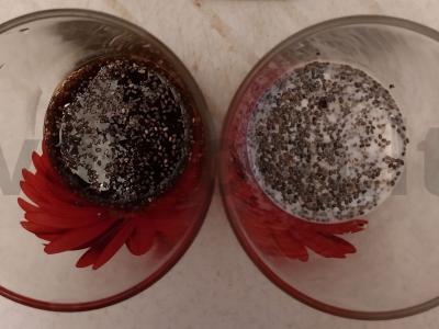 Kavos pudingas su vyšnių sultimis ir chia sėklomis Žingsnis 1