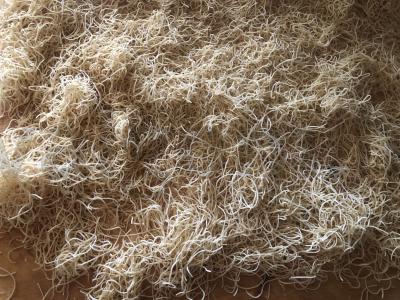 Sriuba su namine makaronais ir jautiena Žingsnis 7