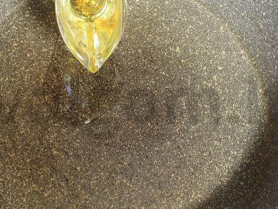 Kalakutų šlaunelė grietinėlės padaže su sūriu ir svogūnais Žingsnis 2