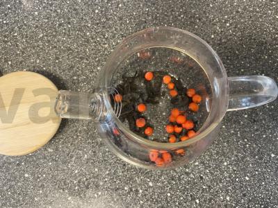 Ivano arbata su šermukšniu Žingsnis 2