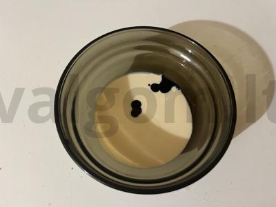 Vaikiškas pieno kokteilis su raugintu pienu „Ažūrinis“ Žingsnis 6