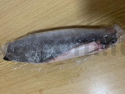 Mažai sūdyta lašiša sumuštiniams Žingsnis 4