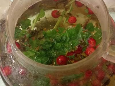 Žalioji arbata su mėtomis ir spanguolėmis pagrindine nuotrauka