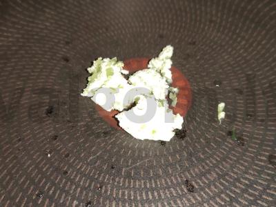 Lašišos steikas česnakinėje sviesto Žingsnis 2