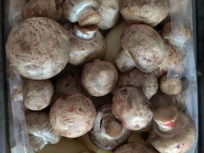 Grybai su bulvėmis ir stracciatella sūriu Žingsnis 5