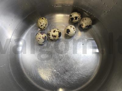 Pomidorų ir putpelių kiaušinių užkandis Žingsnis 1