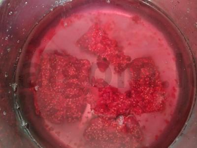 Šaldytų aviečių kisielius Žingsnis 2