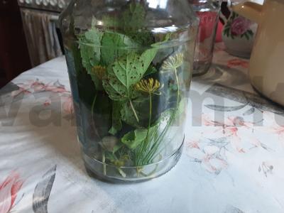 Marinuoti sūdyti grybai Žingsnis 4