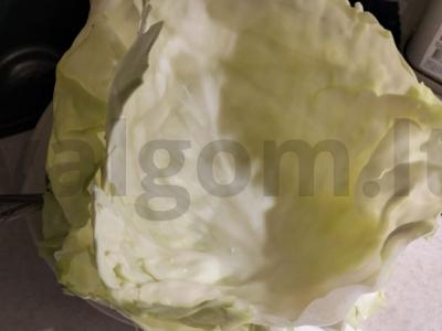 Kopūstai su lašišos faršu Žingsnis 2