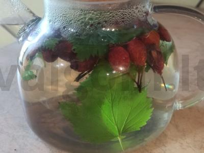 Arbata su serbentų lapais ir erškėtrožių vaisiais Žingsnis 3