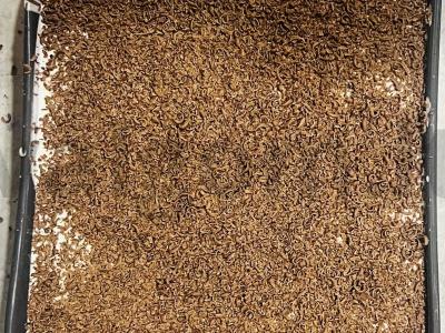 Tiramisu su likieru Žingsnis 11